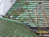 econstruction