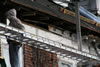 Fypon COrnice