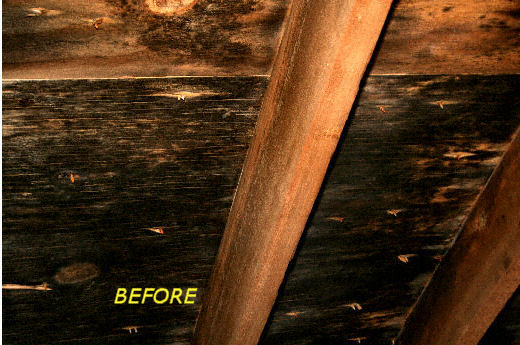 attic mold caused by ceiling bypasses