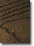 Nichiha in a profound new woodgrain