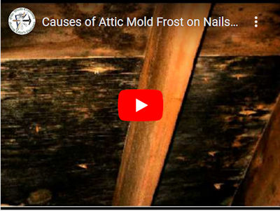 ATTIC MOLD avondale