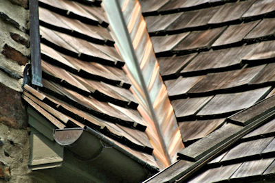 Cedar Roofs new growth wilmington