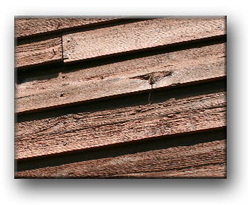  Cedar SIding DE