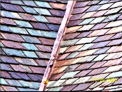 slate roof Wayne, Pa 