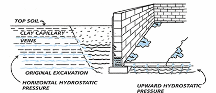 Philadelphia Mold Remediation Company