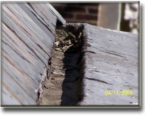 Old Yankee Trough Gutter