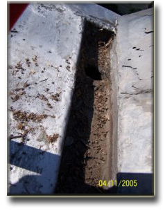 Old tar coated yankee gutter leaking from shoddy repairs