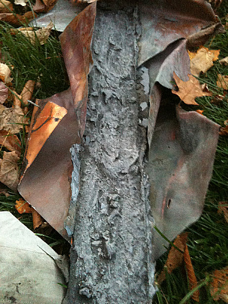 Asphalt Roof Cement eats Copper