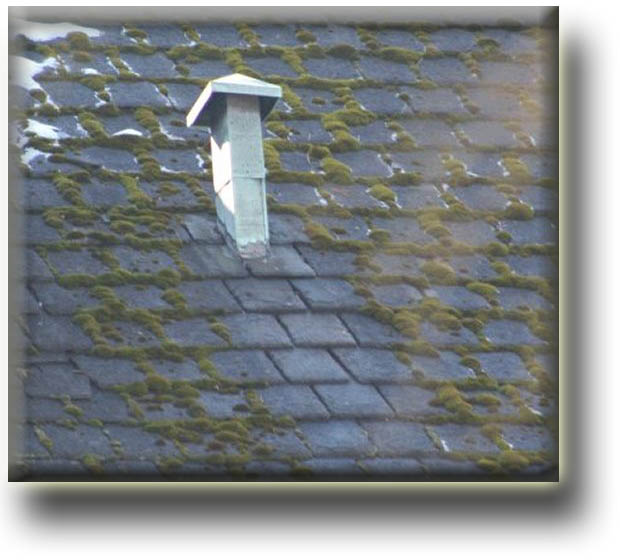 heavy roof moss killed by oxidizing copper