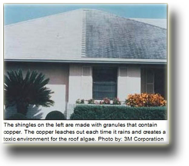 side by side comparison of algae resistant shingles vs. non-resistant shingles